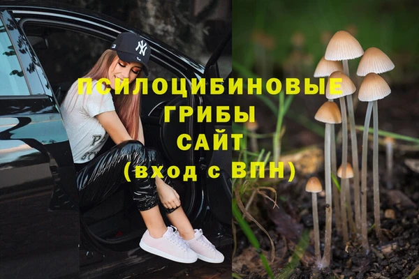 амф Алзамай