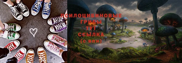 амф Алзамай