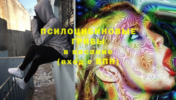 синтетический гашиш Алексин