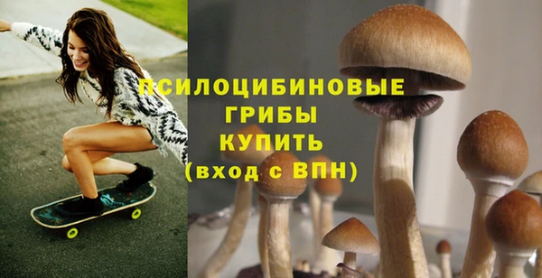 амф Алзамай