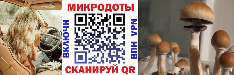Псилоцибиновые грибы Psilocybine cubensis  даркнет сайт  Калач-на-Дону 